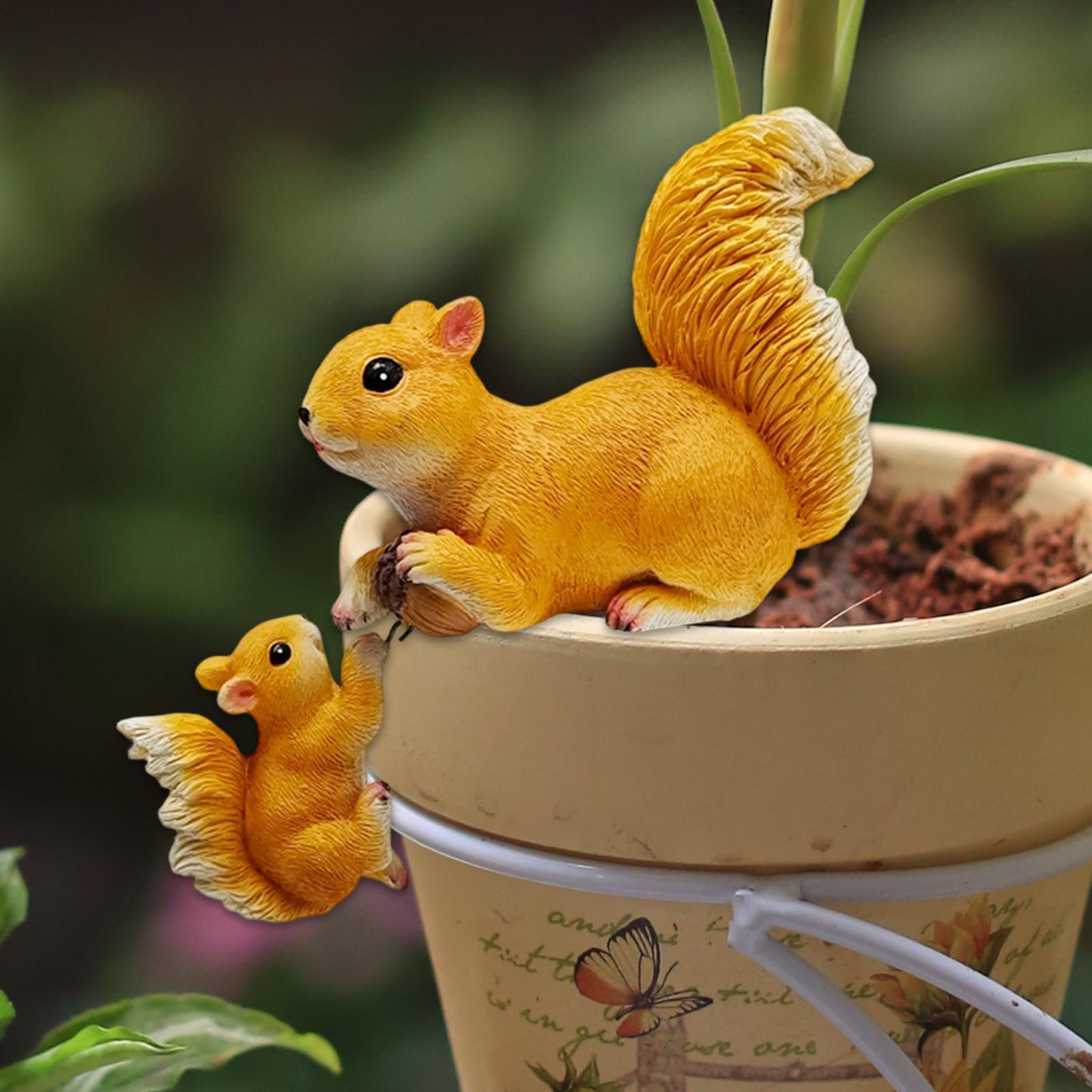 Garden Squirrel Ornament Resin - Bonsai Garden Art 评论和价格
