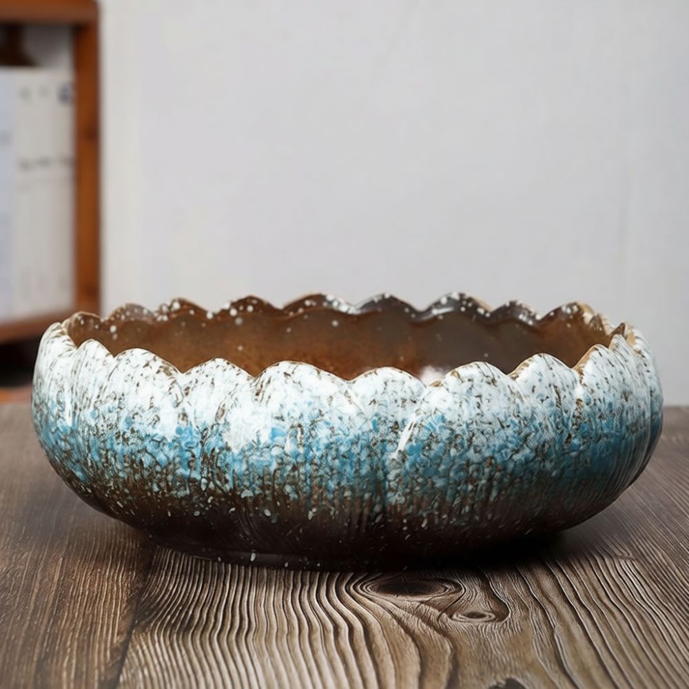 Large Mouth Ceramic Succulent  - Bonsai Garden Art 评论和价格